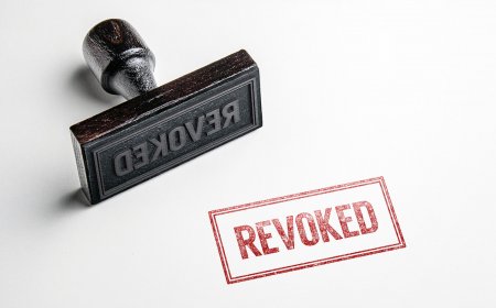 Revocation of Citizenship