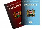 The Different Types of Passports Issued in Kenya