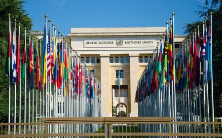Multilateral Organizations