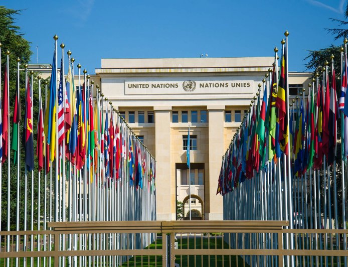 Multilateral Organizations