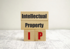 Intellectual Property and Copyright Laws