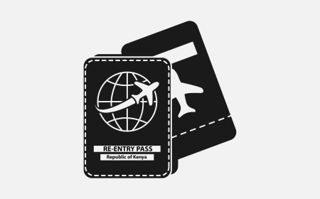 Re-entry Pass