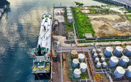 Petroleum Development Levy
