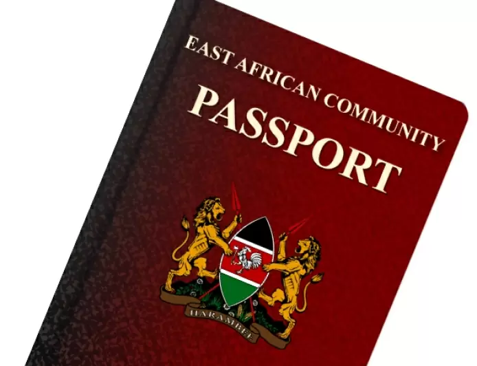 Guide to Obtaining a Diplomatic Passport