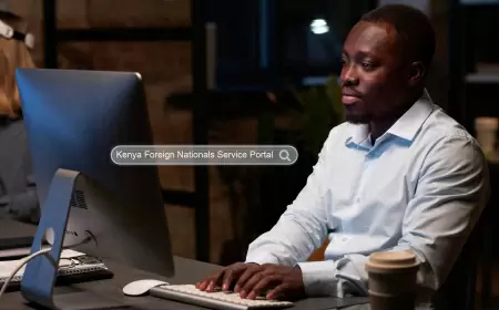 eFNS Portal for Foreign Nationals