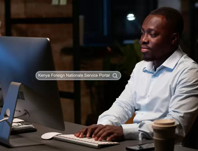 eFNS Portal for Foreign Nationals