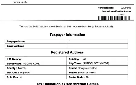 How to Apply for Registration of a PIN in Kenya