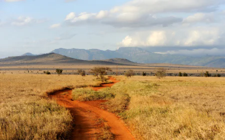 The Main Entry and Exit Points in Kenya